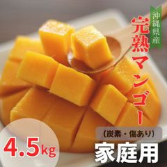 【予約商品】沖縄県産　完熟マンゴー　家庭用（炭素、傷あり）　4.5キロ　（7月頃発送）