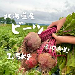 畑のルビー‼️ 食べる輸血と話題の赤穂ビーツ rb01 - メルカリ