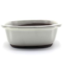 【未使用】盆栽鉢 7号 木瓜鉢 モッコ鉢 白色 クリーム釉 瀬戸焼 陶器 深め 大型 中型 雑木 松柏 約23.5センチ 植木鉢 苔 うめきち盆栽用品店