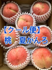 【クール便】桃　夏かんろ　7玉