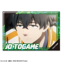 【新品・公式】WIND BREAKER ホログラム缶バッジ デザイン25(十亀条/B) 公式グッズ colleize