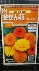 金せん花 切り花用 キンセンカ カレンジュラ 種 ３袋セット