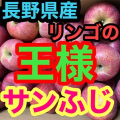 安い！長野県産並品ふじ約9㎏小玉約42玉入りんご