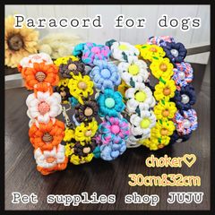 Item thumbnail for item cdf6a78e-fc41-42bb-b83e-9be6c26f0f81