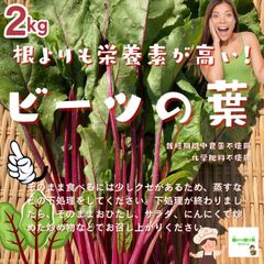 ☆農薬や化学肥料は使用しておりません　ビーツの葉（ビーツグリーン）　埼玉県産　約２ｋｇ