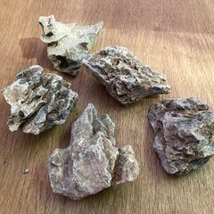 ADA 虎黄石　まとめ売り ADA 虎黄石 まとめ売り - メルカリ