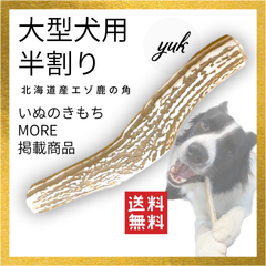 【24時間以内発送】🐶大型犬用🐶半割り🦌北海道産エゾ鹿の角🦌犬のおもちゃ🐕鹿の骨　F