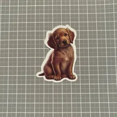 【B077】防水ステッカー 犬 dog ゴールデンレトリバー 仔犬 子犬 首を傾げる犬 大型犬