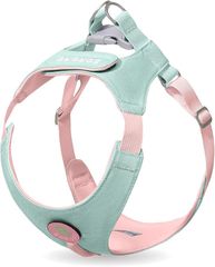 Item thumbnail for item aec4b330-2f30-48a9-88c3-1096130596b4