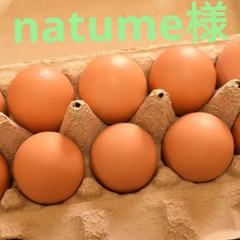 natume様専用 A卵50個