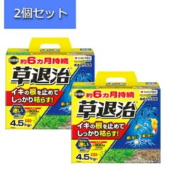 【2個セット】住友化学園芸 除草剤 草退治E粒剤 4.5㎏ 雑草 枯らす 持続 効きめが速い