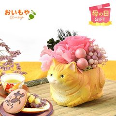 【おいもや公式】母の日限定 一寸 【アメリカンショートヘアー（ベージュ）】猫 ねこグッズ 動物 どら焼き プリザーブドフラワー おしゃれ 可愛い スイーツ お菓子 和菓子 インテリア 雑貨 造花 ミニ (お届け時期:5/5～11のいずれか)