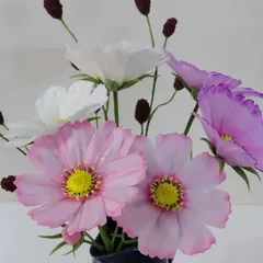 クレイフラワー　マーガレット5本セット クレイフラワー マーガレット5本セット クレイフラワー