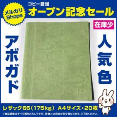 ①　特殊紙、レザック66（175kg）アボガド20枚、人気色、A4！