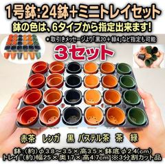 3セット＊1号鉢ミニプラ鉢：6色単色や混合から選択(24鉢＋ミニトレイセット)×3セット＊多肉植物・塊根植物コーデックス・アガベ・サボテン・盆栽・観葉・ハオルチア・アデニウム・パキポディウム・実生・種まき・さし芽・さし木・さし葉＠フラワーショップ江口