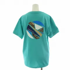 ザノースフェイス THE NORTH FACE ショートスリーブTNFモンキーマジックティー Tシャツ 半袖 バックプリント L 水色 ライトブルー NTW32444 /NQ