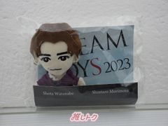 Snow Man 渡辺翔太 DREAM BOYS 2023 ぬいぐるみマスコット