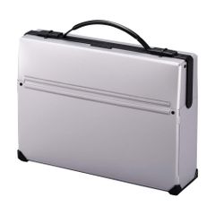 Item thumbnail for item 5a4895dd-ed52-4f27-a07d-ea51de12f03d