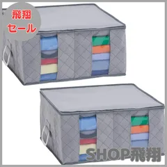 【大安売り】アストロ 持ち手付き 収納袋 衣類用 グレー 2枚組 不織布 仕切り付き 収納ケース 衣装ケース 収納ボックス ソフトケース 衣装ケース 折りたたみ 179-03