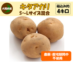 キタアカリ　栽培期間中農薬不使用　じゃがいも　箱込み4kg