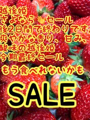 いちご　　　専用
