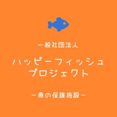 引取り限定】大型ガラス水槽 ジャンク90CMガラス水槽 - メルカリ