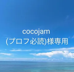 cocojam (プロフ必読)様　専用ページです。