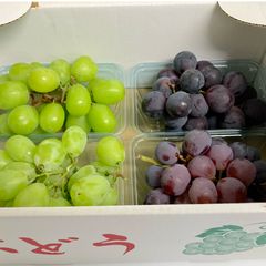 大房ハウス山梨「シャインマスカット」と特秀品4L「やまがた紅王」詰め