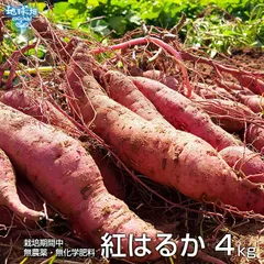 紅はるか 4kg 化学肥料・農薬不使用 鹿児島県産 宮崎県産 土付き さつまいも 薩摩芋 サツマイモ からいも べにはるか 国産 スイートポテト 焼き芋 令和7年度産