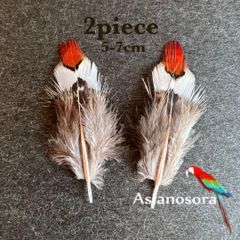 ❤️【SS11】2枚セット 羽根 フェザー 鳥 パーツ 材料 アクセサリー 素材