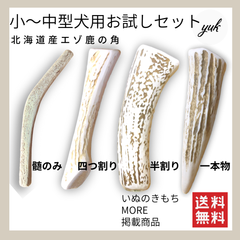【形状色々】　小〜中型犬用お試し4本セット　髄のみ＆四つ割り＆半割り＆一本物　鹿の骨　鹿の角　犬のおもちゃ　C