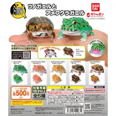 2025年最新】ツノガエルの人気アイテム - メルカリ