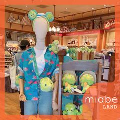 Group B｜10-15営業日国内倉庫発送｜香港ディズニー公式グッズ専門