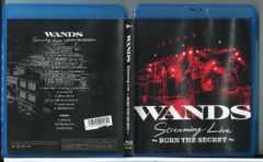 無痛 診える眼/全5巻セット 中古DVD レンタル落ち/西島秀俊/伊藤