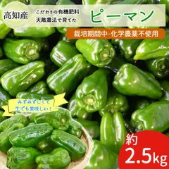 ピーマン 約2.5kg 約70個 天敵農法 かめのこ農園 栽培期間中 化学肥料不使用 高知産 国産 安心 安全 産地直送 野菜 ヤマト発送