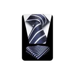 [HISDERN] フォーマル ネクタイ メンズ ビジネス ネクタイ ストライプ ポケットチーフ セット ブランド品 就活 入学式 卒業式 HTS0564V18S