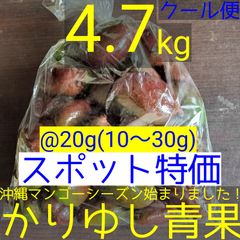 〈スポット特価〉沖縄県産 摘果マンゴー/青マンゴー@20g(10〜30g)約4.7kg【クール便】③