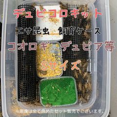 爬虫類　両生類　餌　デュビア　レッドローチ　コオロギ　飼育ケース　飼育ケージ　L 爬虫類 両生類 デュビア コオロギ レッドローチ 飼育ケース 飼育