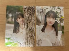 AKB48 17研究所　ランダム　プロマイド　生写真　橋本恵理子　2種　セミコンプ