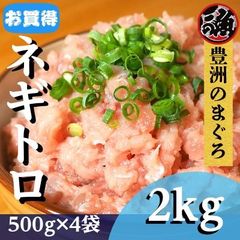 テラ盛り ネギトロ　２ｋｇ（４袋 およそ２０人前）