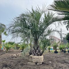 VQrmwbzq2tqEHGATGJFeA.jpg@jpg