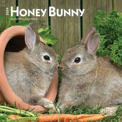 【輸入版】2024年 うさぎ ミニ カレンダー / ブラウントラウト 17.8 x 35.6 cm (Honey Bunny  Calendar)