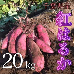 さつまいも 千葉県産紅はるか 20kg 訳あり