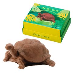 【専用袋付き】ZOOLOGY ズーロジー ゾウガメ チョコレート バレンタイン 2025