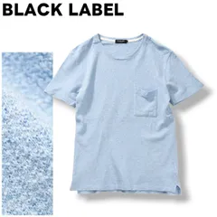 ブラックレーベル クレストブリッジ BLACK LABEL CRESTBRIDGE 胸ポケット パイル地 半袖 クルーネック Tシャツ トップス カットソー M サックスブルー メンズ