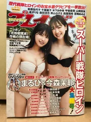小宮有紗 週刊プレイボーイ 直筆サイン入りポスター 小宮有紗 週刊プレイボーイ懸賞品 直筆サイン入りポスター（抽