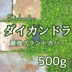 2024年最新】ディコンドラの人気アイテム - メルカリ