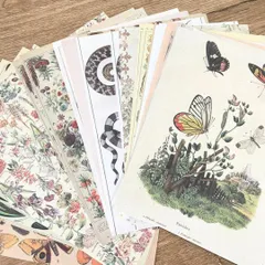 コラージュ素材 ジャンクジャーナル 紙モノ 蝶々 デザインペーパー 植物