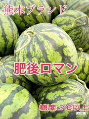 熊本県産　スイカ　肥後浪漫　3L 8〜9㌔　訳あり　農家直送