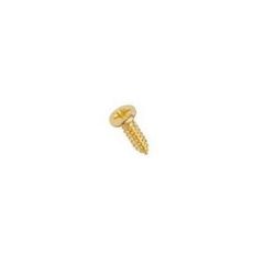 ビス Pickguard Screws for - Fender, Gold (11)